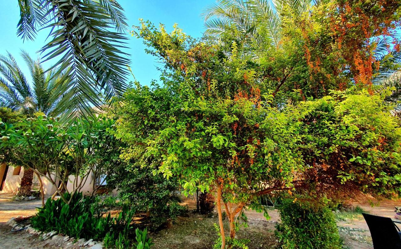 Sekhmet Retreat Centre Hotell Luxor Eksteriør bilde